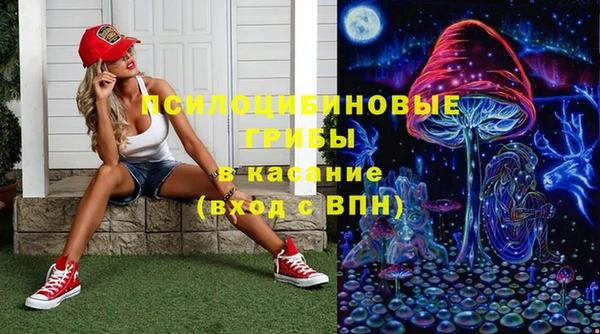 первитин Козловка