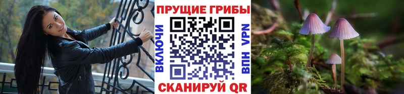 Псилоцибиновые грибы MAGIC MUSHROOMS Нягань